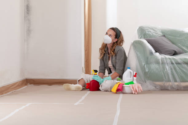 Reliable Mold Cleanup contractor in Arlington Heights, IL by WQB Mold Removal